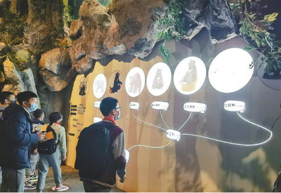 博物馆设计中受人追捧的多媒体互动都有哪些？ - 楚晨星科技